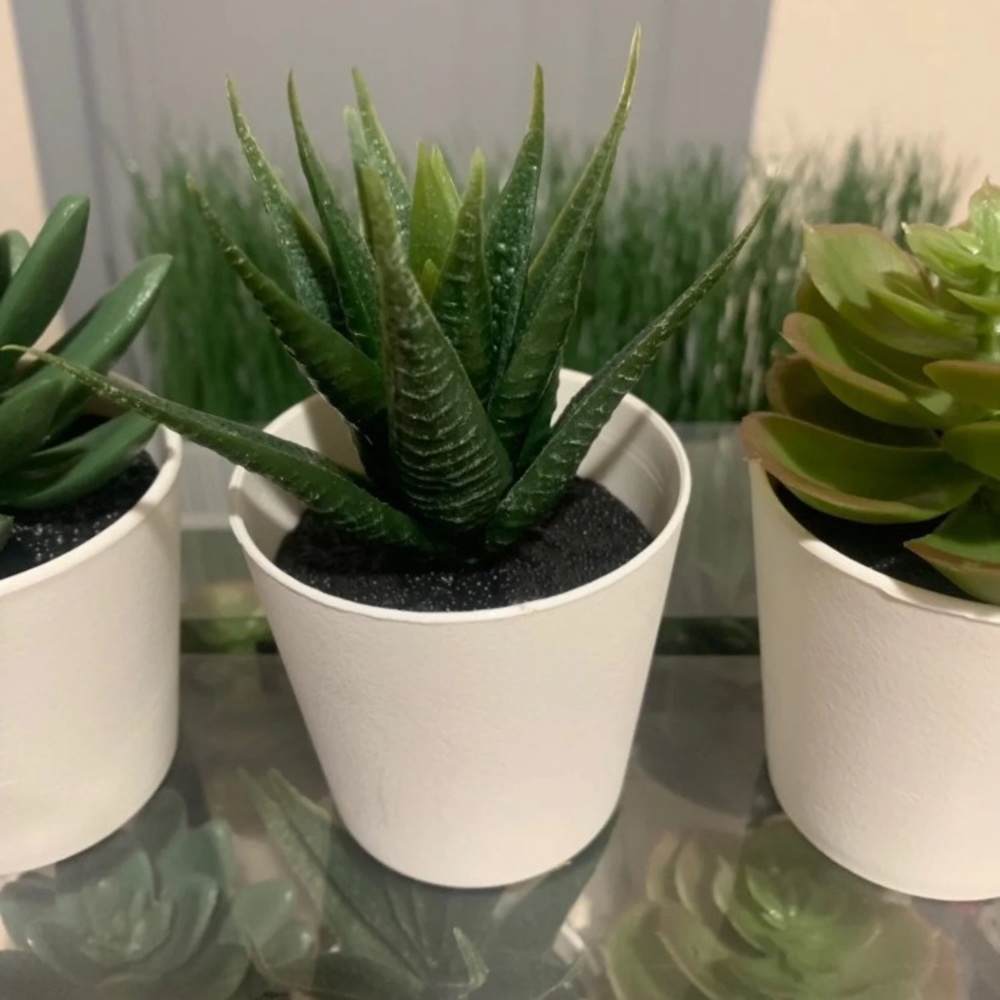 Fake Succulent pack  (3 piece) new
